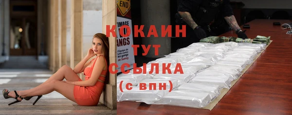 индика Балабаново