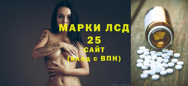 сатива Аркадак