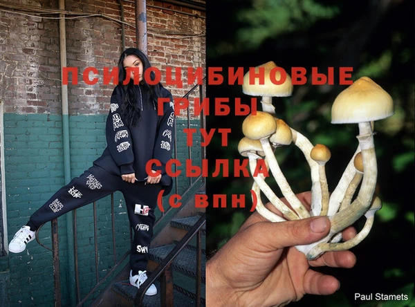 не бодяженный Баксан