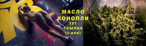 индика Балабаново