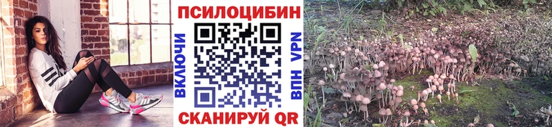 Галлюциногенные грибы Magic Shrooms сколько стоит Теберда